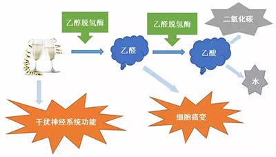 活性炭吸附乙醛